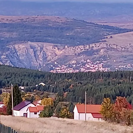Anamari